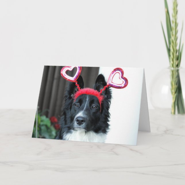 Valentine Border Collie Grußkarte Feiertagskarte (Vorderseite)