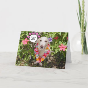 Valentine Card Feiertagskarte
