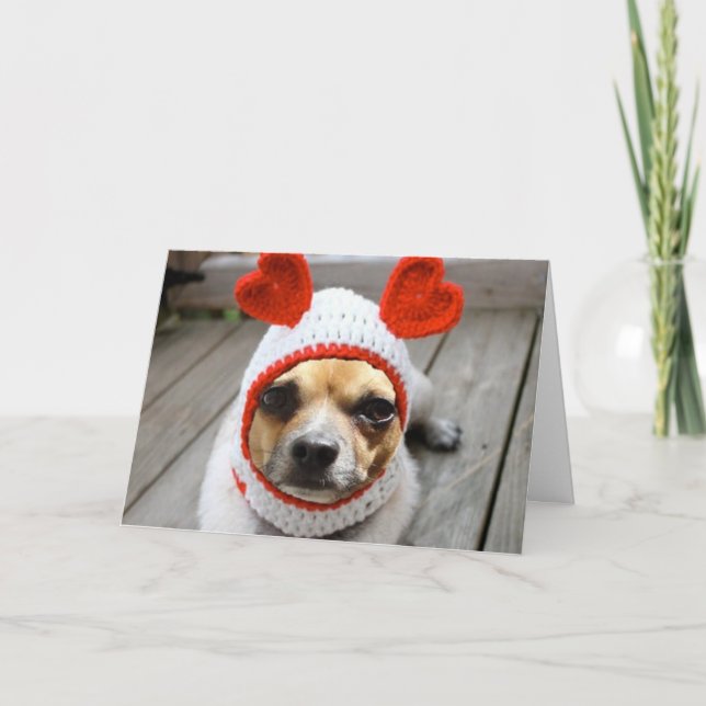 Valentine Chihuahua Feiertagskarte (Vorderseite)
