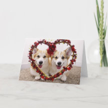 Valentine Corgis Grußkarte & Umschläge