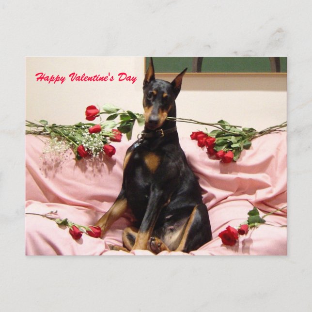 Valentine Dobercard Feiertagspostkarte (Vorderseite)