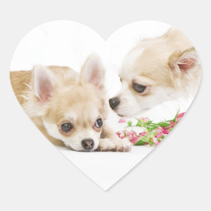 Valentine Dog Stickers