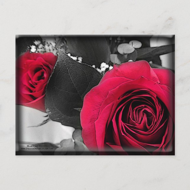 Valentine Feiertagspostkarte (Vorderseite)