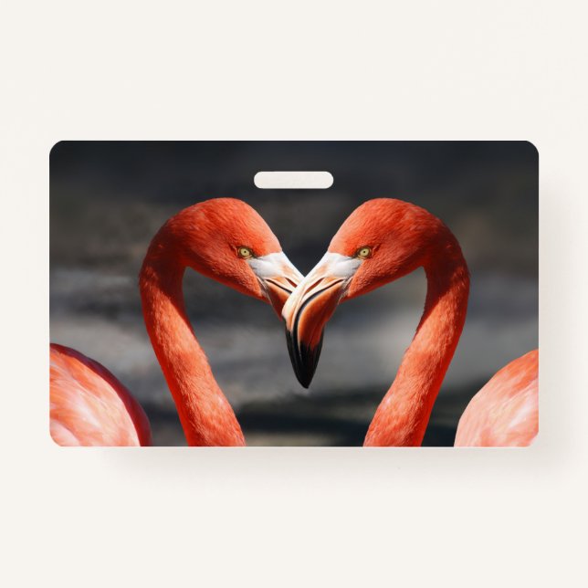 Valentine Flamingo Ausweis (Vorderseite)