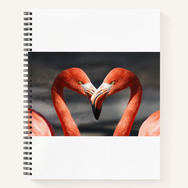 Valentine Flamingo Notizbuch (Vorderseite)
