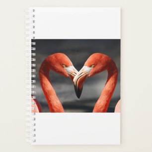 Valentine Flamingo Planer