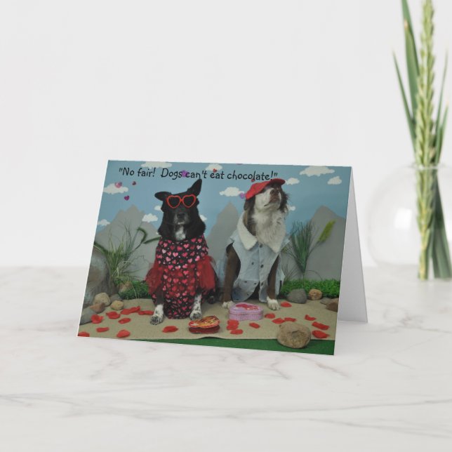 Valentine für alle, Hunde in albernen Kleidern Karte (Vorderseite)