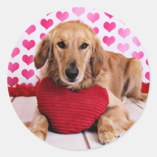 Valentine - Golden Retriever - JJ Runder Aufkleber