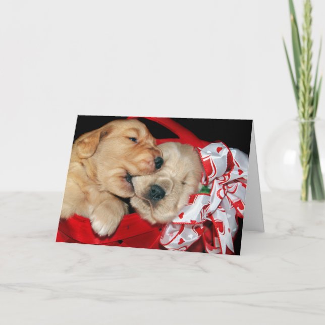 Valentine Golden Retrievers Feiertagskarte (Vorderseite)