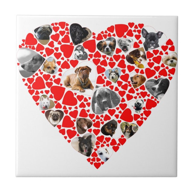 Valentine Heart Dog FotoCollage Fliese (Vorderseite)