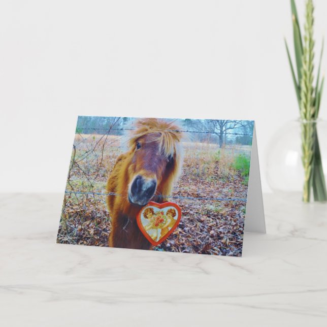 Valentine Heart Horse Feiertagskarte (Vorderseite)