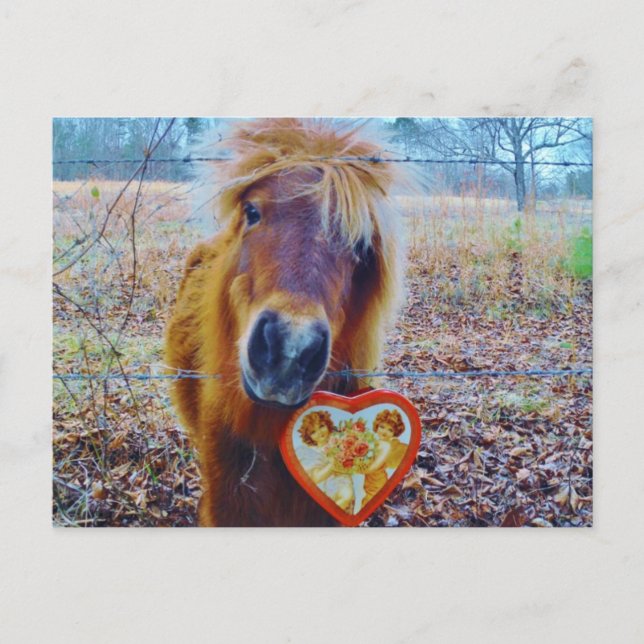 Valentine Heart Horse Feiertagspostkarte (Vorderseite)