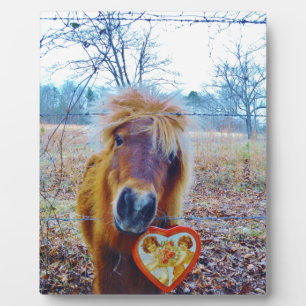 Valentine Heart Horse Fotoplatte