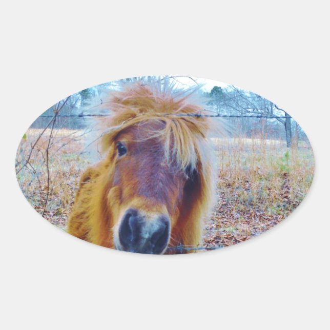 Valentine Heart Horse Ovaler Aufkleber (Vorderseite)