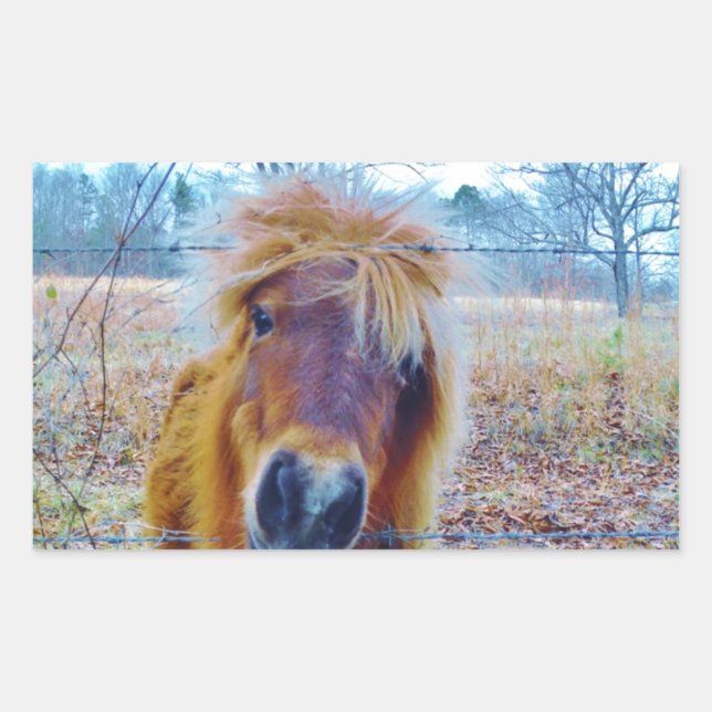 Valentine Heart Horse Rechteckiger Aufkleber (Vorderseite)