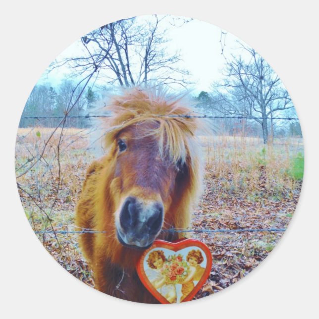 Valentine Heart Horse Runder Aufkleber (Vorderseite)