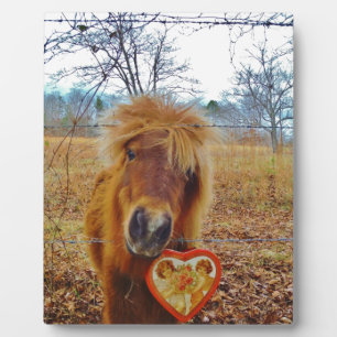 Valentine Herz Miniatur Fotoplatte