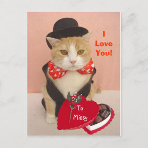 Valentine Kitty Feiertagspostkarte