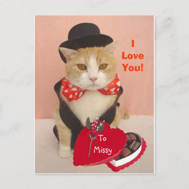Valentine Kitty Feiertagspostkarte (Vorderseite)