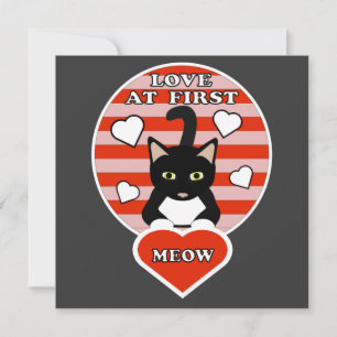 Valentine Liebe im ersten Halbjahr Katze Liebhaber