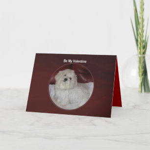 Valentine maltais - vous avez ma carte de coeur