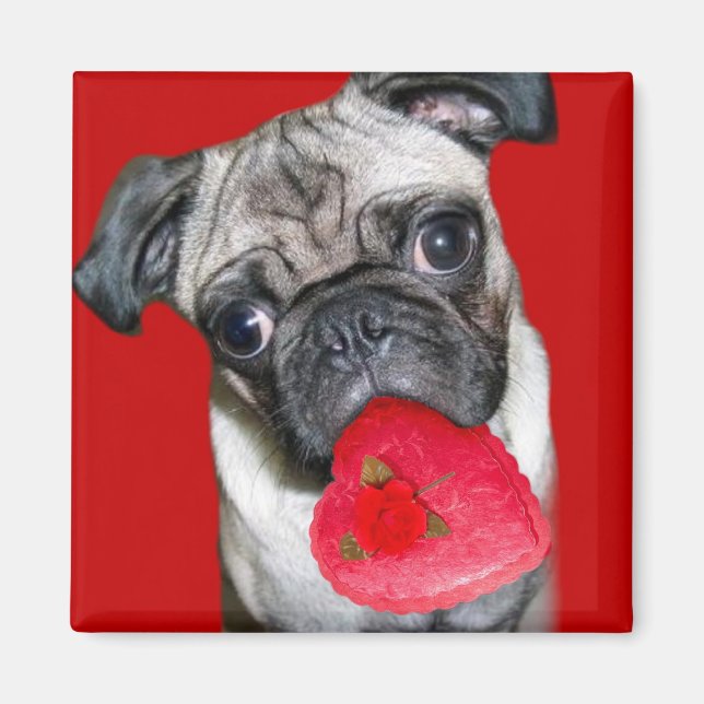 Valentine-Mops-Magnet Magnet (Vorne)