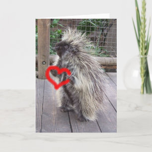 Valentine Porcupine Feiertagskarte