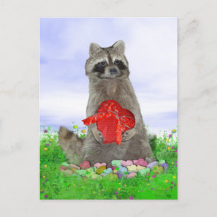 Valentine Raccoon Bandit Feiertagspostkarte