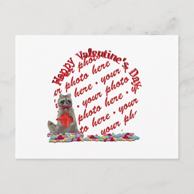 Valentine Raccoon "Bandit" Foto Feiertagspostkarte (Vorderseite)