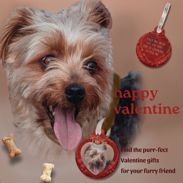 Valentine Red Foto Schlüsselanhänger Haustiermarke (Valentine Red Photo Keychain Pet ID Tag)