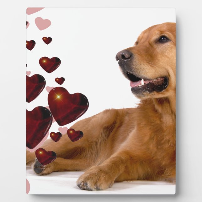 Valentine Red Hearts Golden Retriever Dog Fotoplatte (Vorderseite)