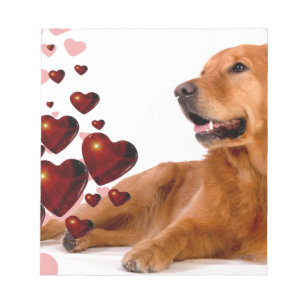 Valentine Red Hearts Golden Retriever Dog Notizblock