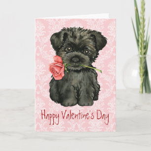 Valentine Rose Affenpinscher Feiertagskarte
