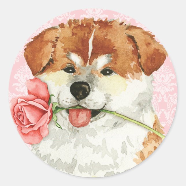 Valentine Rose Akita Runder Aufkleber (Vorderseite)