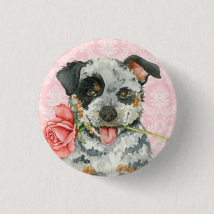 Valentine Rose Australian Cattle Dog Button