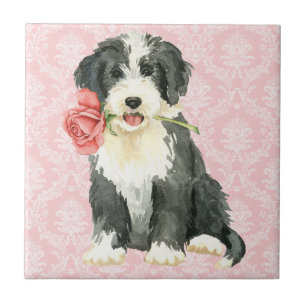 Valentine Rose Beardie Fliese