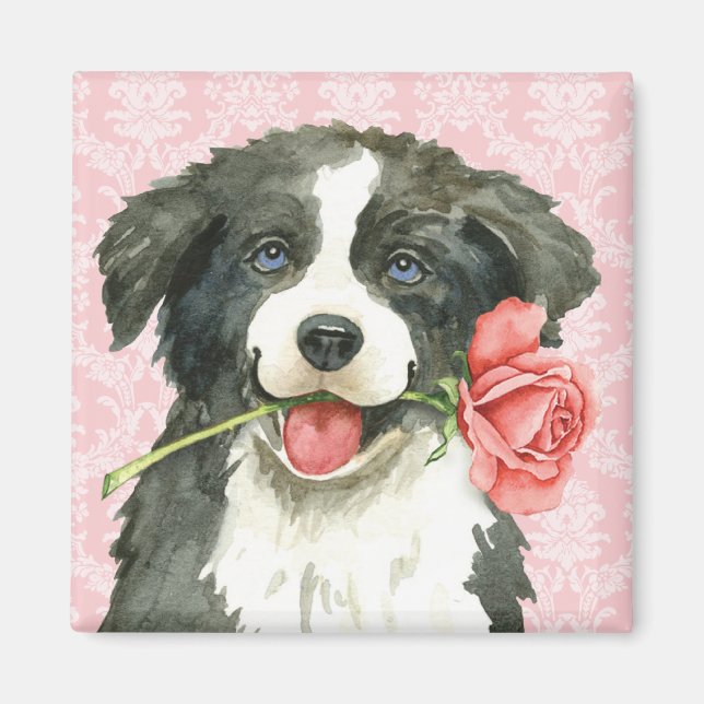 Valentine Rose Border Collie Magnet (Vorne)