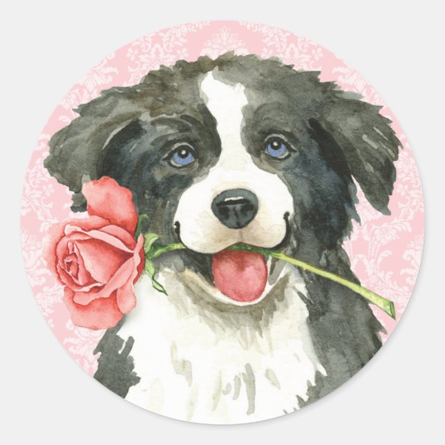 Valentine Rose Border Collie Runder Aufkleber (Vorderseite)