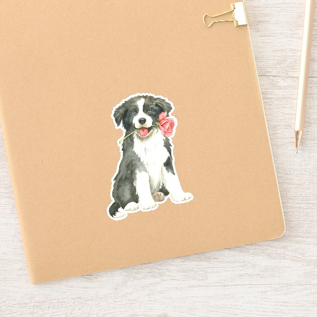 Valentine Rose Border Collie Vinyl Aufkleber (Notizbuch)