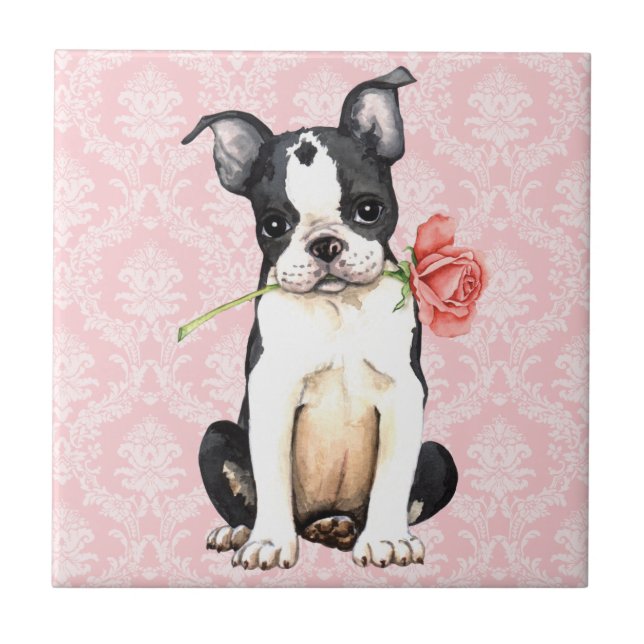 Valentine Rose Boston Terrier Fliese (Vorderseite)