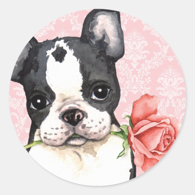 Valentine Rose Boston Terrier Runder Aufkleber (Vorderseite)