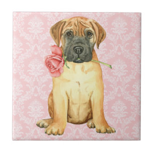 Valentine Rose Bullmastiff Tile Fliese