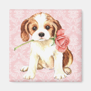 Valentine Rose Cavalier Magnet