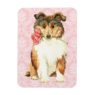 Valentine Rose Collie Magnet