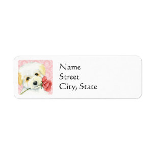 Valentine Rose Coton de Tulear