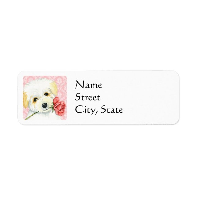 Valentine Rose Coton de Tulear (Vorne)