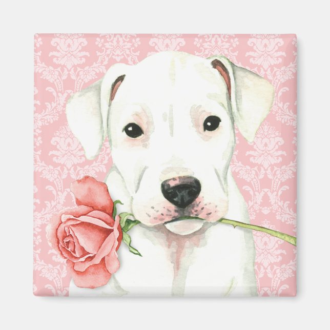 Valentine Rose Dogo Magnet (Vorne)