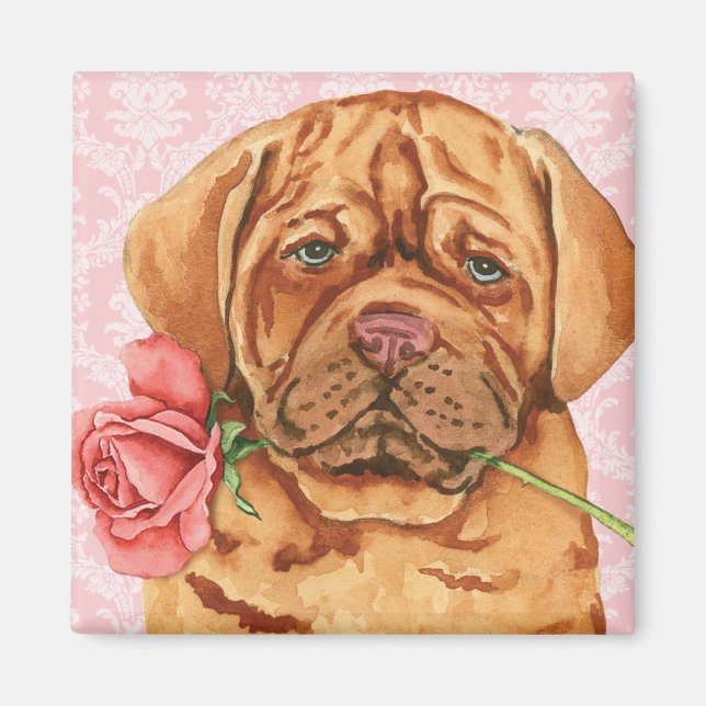 Valentine Rose Dogue de Bordeaux Magnet (Vorne)