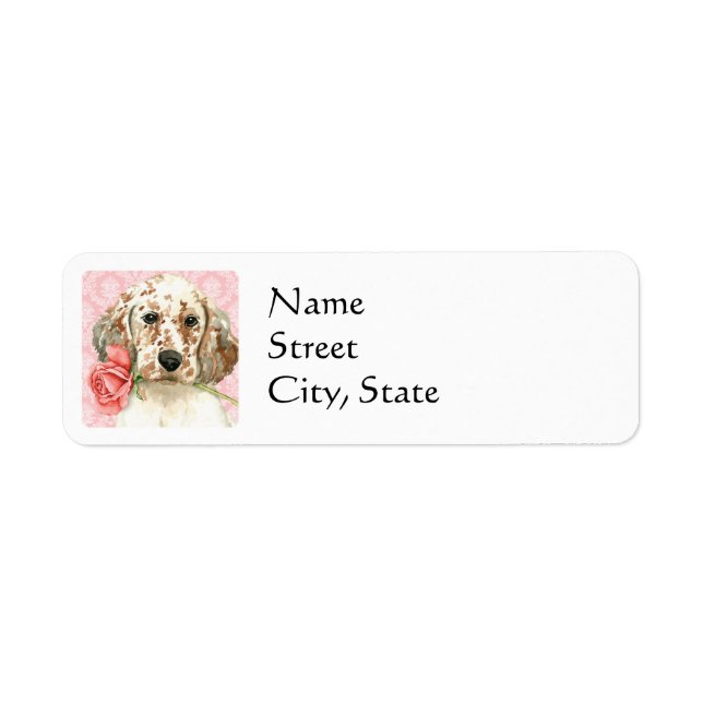 Valentine Rose English Setter (Vorne)