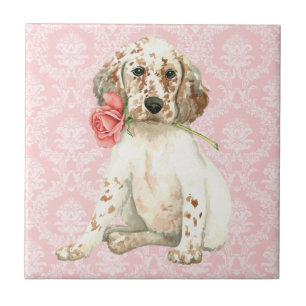 Valentine Rose English Setter Fliese